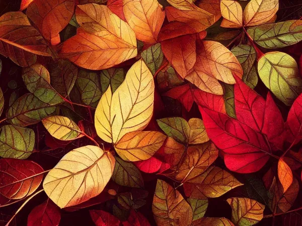 Herbstlaub im Sonnenlicht